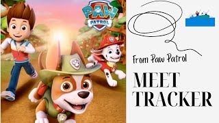 Doodles Read Along PAW PATROL  Meet Tracker [upl. by Pentheam821]