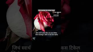 जिथं स्वार्थ असेल तिथ नाते कसे बहरेल  lovestatus lovequotes lifeqoutes [upl. by Lerrad]