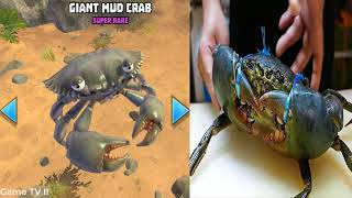 King of Crabs IN REAL LIFE [upl. by Mishaan766]