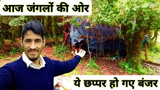 Pahadi 🌳Forest Lifestyle And Culture  Pahadi Hard Lifestyle  Anup Negi [upl. by Skill]