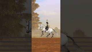 RRP SSO  Séance assouplissement avec Rivero 🫶 ssorrp starstable ssofr starfam sso [upl. by Lledniw697]