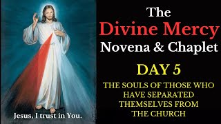 Divine Mercy Novena amp Chaplet  Day 5 [upl. by Sayers]