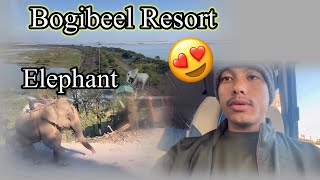 Aaj maine elephant 🐘 dek liya  Bogibeel resort  MR PAPU [upl. by Eitsim]