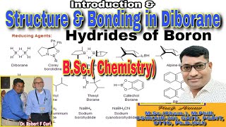 Hydrides of boron bsc 2nd year Structure of diborane Bsc chemistry Bsc chemistry 2nd year [upl. by Ellynad]