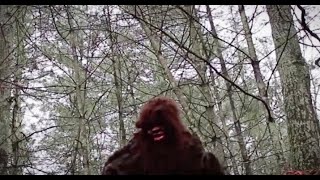 13 New Years Scariest NEVER Before SEEN Images of BIGFOOT Caught On Camera [upl. by Wilterdink71]