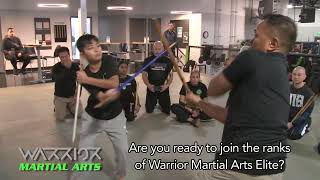 Highlights from Warrior Martial Arts 01 2024 Certification Seminars Part 25 [upl. by Airelav]