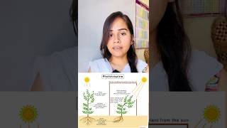 Phototropism  hydrotropism  geotropism  thigmotropism  chemotropism shorts growth youtube [upl. by Iel101]