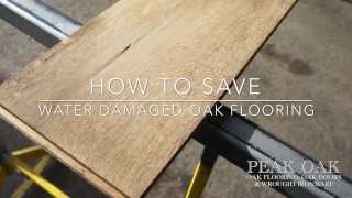 How To Save Water Damaged Oak Flooring [upl. by Kerns434]