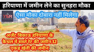 agriculture land for sale in Haryana अर्जेंट बिकाऊ 12 एकड़ खेती की जमीन कैथल [upl. by Sebastien]