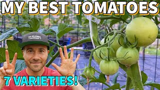 7 Tomatoes I MUST Grow EVERY Year My BEST Tomato Varieties [upl. by Dilisio]