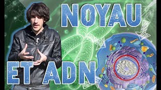 Tous les SECRETS du NOYAU et de lADN B8 [upl. by Fifine]