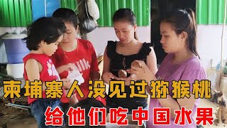 柬埔寨人没见过猕猴桃？给老丈人丈母娘吃中国水果，好吃到停不下来【柬埔寨媳妇在中国】中国小伙柬埔寨美女异国夫妻 [upl. by Mccurdy]