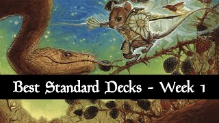 Best Standard Decks  Meta Review  August 2024  Bloomburrow  Week 1  MTG Arena [upl. by Pollock]