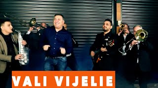 VALI VIJELIE si GABI DE LA ORADEA  IMNUL BETIVULUI VIDEO 2019 [upl. by Lemal]