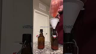 Weekly kombucha second fermentation [upl. by Hamforrd]