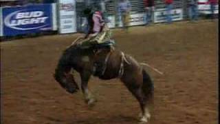 Saddle Bronc Riding  HRS Rodeo [upl. by Sabrina]