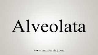 How To Say Alveolata [upl. by Anircam80]