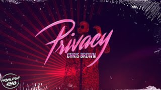 Chris Brown  Privacy Official Lyrics [upl. by Ruyle]