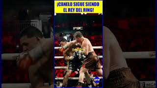 🎉¡CANELO CELEBRA OTRA VICTORIA PARA MÉXICO [upl. by Woermer]