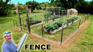 Install a FENCE around the GARDEN stop Groundhogs Rabbit Deer Squirrels Raccoon Animals [upl. by Soiritos]