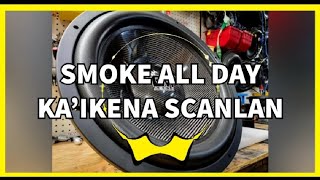 3141 Hz  Smoke All Day  Kaikena Scanlan  Rebassed for 0 Ohm Systems [upl. by Cibis187]