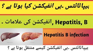 Hepatitis B infection kia hota Hy  Hepatitis B infection ki Aalamaath kia hy  transmission [upl. by Nairrad]