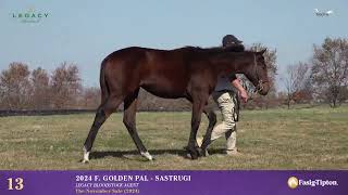 Hip 13  Weanling Filly by Golden Pal  Sastrugi [upl. by Lewanna637]