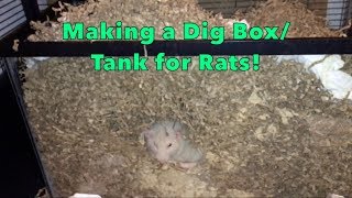 How to Make a Dig Box for Rats [upl. by Eelir811]