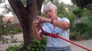 The pole pruner use and repairing [upl. by Noemad]