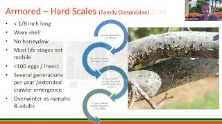 Toolbox Approach to Diagnosing and Treating Scales in Florida [upl. by Naleag]