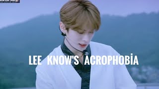 Lee Know has acrophobia leeknow straykids minho [upl. by Lunseth916]