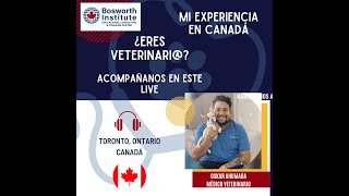 Trabajar como Veterinario en Canadá [upl. by Ainoval]