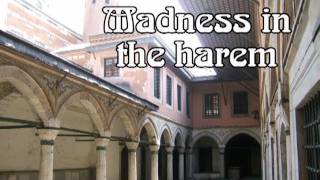 Madness in the Harem [upl. by Asilrac]