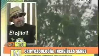 SALFATE  Criptozoología Increíbles seres viven entre nosotros Parte13 [upl. by Gustaf]