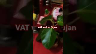 VAT vruksh Pujan Sati Savitri vrat kathaytshort hindufestival viratvloghoshiarpur [upl. by Banebrudge]