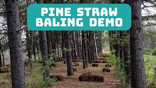 Pine Straw Baling Demo Video [upl. by Dorita]