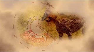 Best Documentaries  The Evolution of Mammals Part 1  Meet the Synapsids [upl. by Ayekahs635]