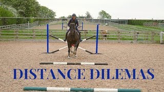 A SMART JUMPING EXERCISE FOR WHEN YOUR HORSE GETS SMART [upl. by Naed]