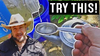 This Simple Gardening Trick Turns Poor Draining Soil Into Well Draining Soil [upl. by Neelhsa]