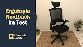 Ergotopia Nextback Bürostuhl im Test  Erfahrungen inkl Aufbau [upl. by Nichy]