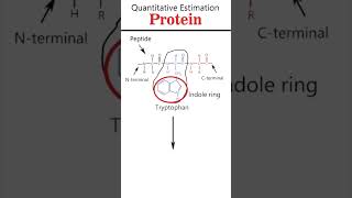 HopkinsCole reaction csirnet iitgate iitjam [upl. by Nomelc82]