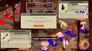 DOFUS RETRO TEMPORIS III 11  VOILE EXO PARFAIT amp UP 199 [upl. by Akaenahs]