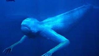 40 Images That Prove You Have Thalassophobia [upl. by Anauqahs187]