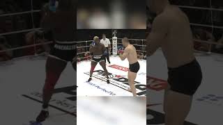 Brutal MMA Fight Kevin Randleman VS Cro Cop crocop kevinrandleman mma pridefc ufcfighter ufc [upl. by Nivel]