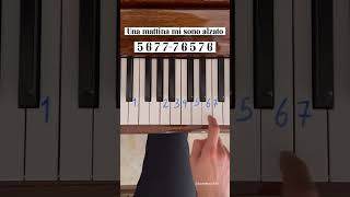 bella ciao piano tutorial ringtone coversong musicclip tutorial [upl. by Egoreg]