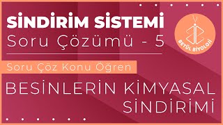 Sindirim Sistemi Soru Çözümü 5  Besinlerin Kimyasal Sindirimi  11 Sınıf Biyoloji  AYT [upl. by Annodam]