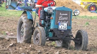 2 Holz und Feldtag Niederböhmersdorf  55  pflügen  plowing with old tractors [upl. by Adnahsar]