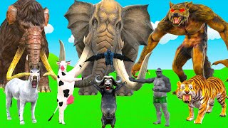 10 Mammoth Elephant Cow vs 5 Tiger Lion Zombie Wolf Bull Attack Baby Elephant Saved By Woolly Mammot [upl. by Radman]