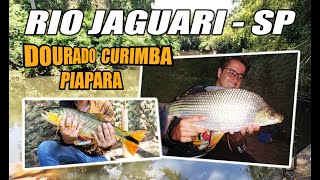 ESSE RIO É SENSACIONAL RIO JAGUARI TEM PEIXE DEMAIS [upl. by Rufena]