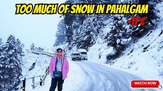 Finally Snow In Pahalgam  Things To See In Pahalgam  Best time to visit Kashmir [upl. by Kinom]